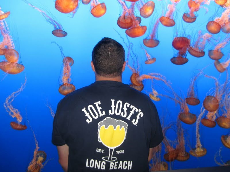 Joe Jost's shirt, Aquarium of the Pacific, Long Beach