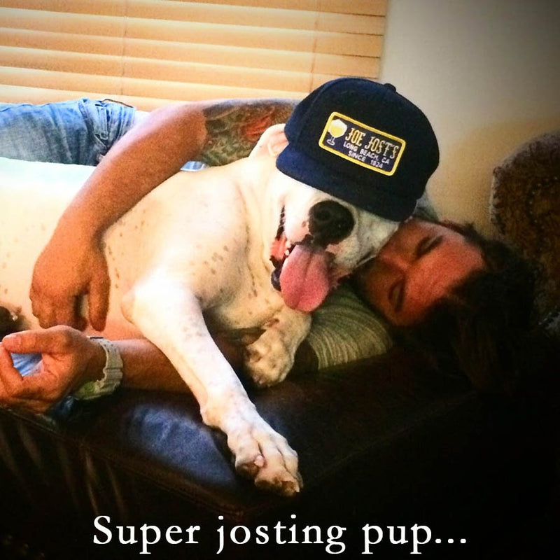 Joe Jost's shirt, Joe's pup
